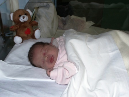 PICT3315comp.JPG